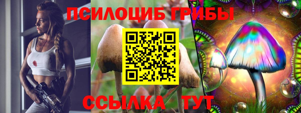 Галлюциногенные грибы мицелий Балабаново